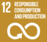 Sustainable Development Goal 12: Responsible Consumption and Production