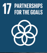 Sustainable Development Goal 17: Partnerships for the Goals
